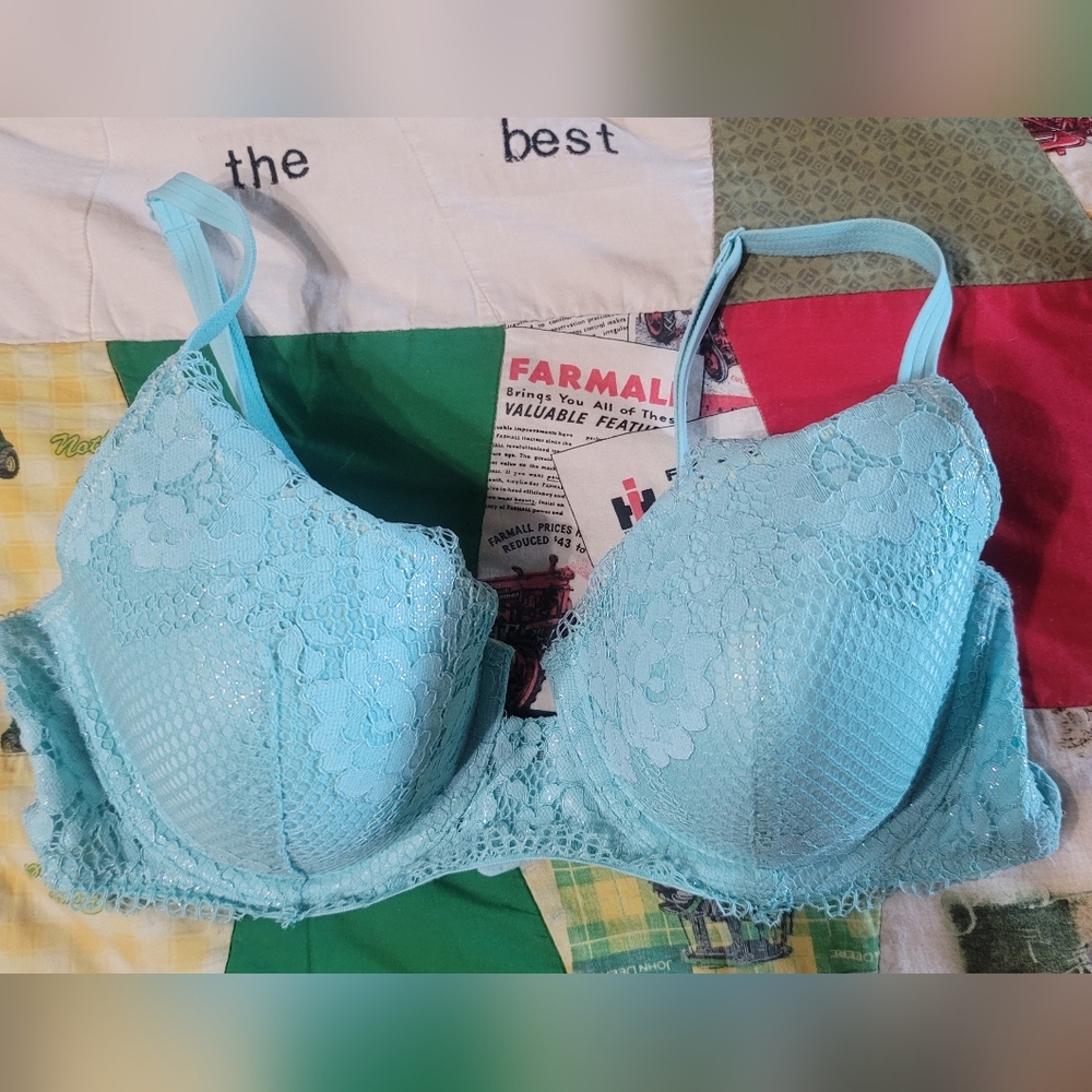 Ambrielle bra 38B